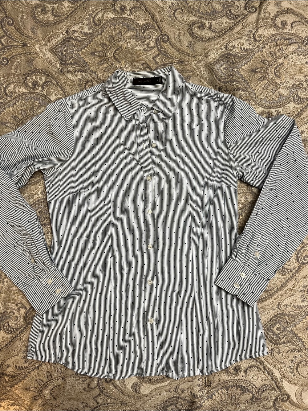 The Limited Navy and White Pinstripe, Swiss dot Dress Shirt